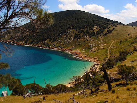 East Cove and the road to the compound