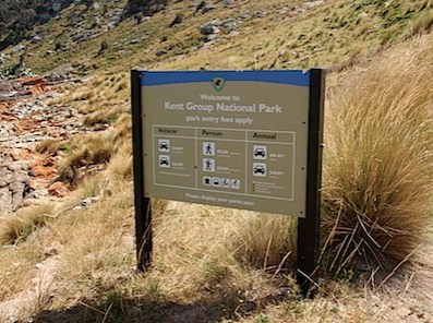 Cars on Deal Island?