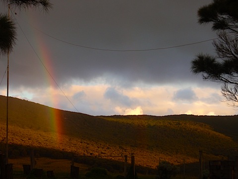 Evening rainbow