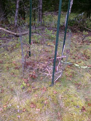 Our deluxe compost bin