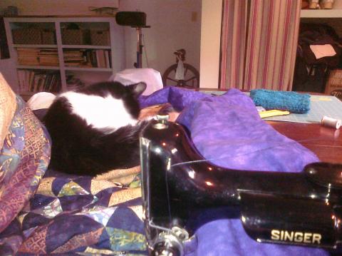 Shirley's quilt Shirley's quilt