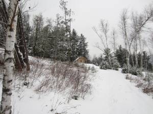 A sweet little cabin in the woods
