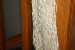 BFL - Alpaca