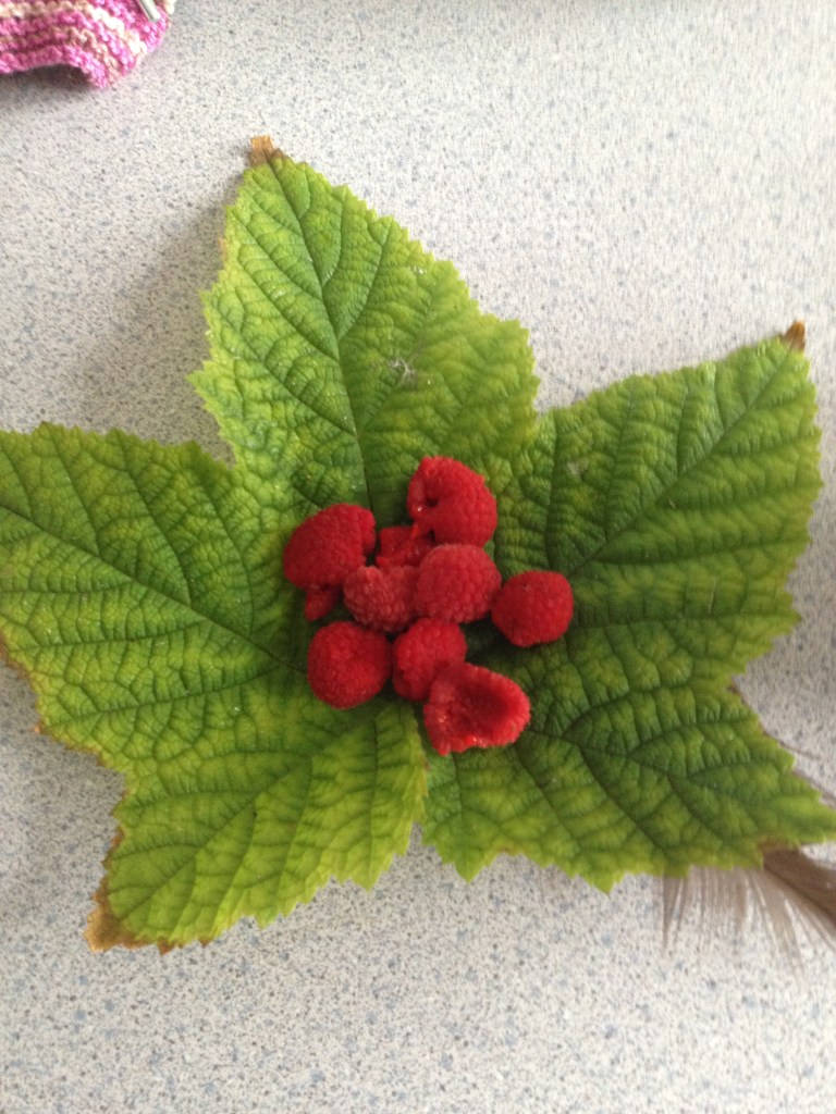 2013-08-13 001 2013-08-13 017