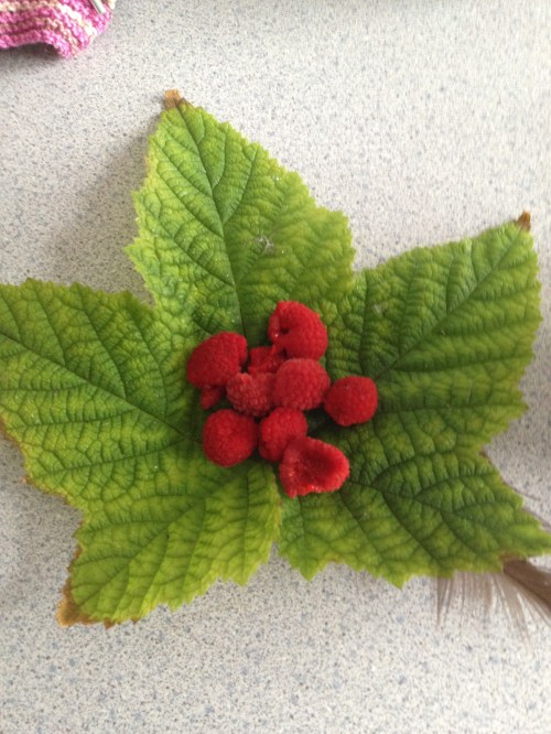 2013-08-13 001 2013-08-13 017