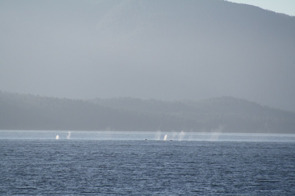 Five Finger 2013-08-10 020