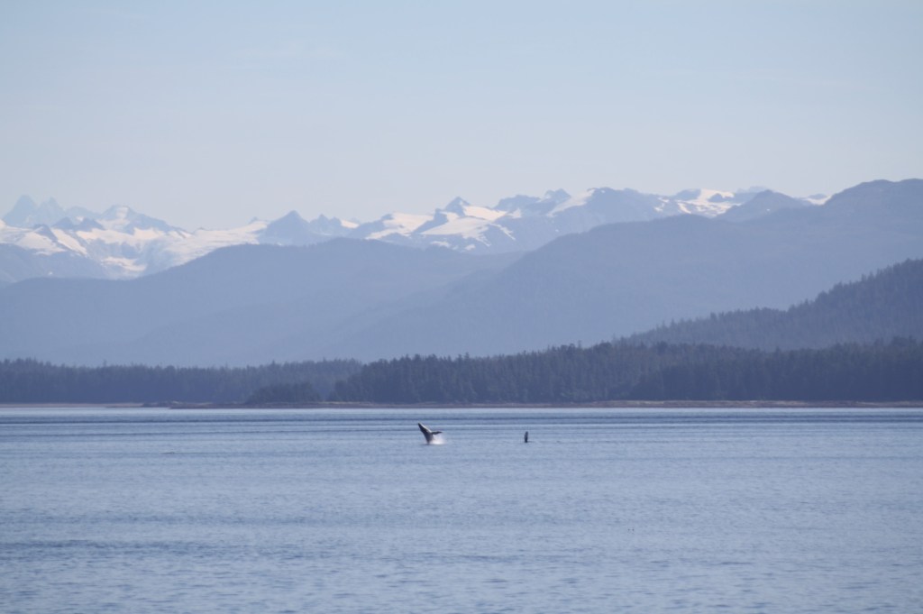 Five Finger 2013-08-11 009