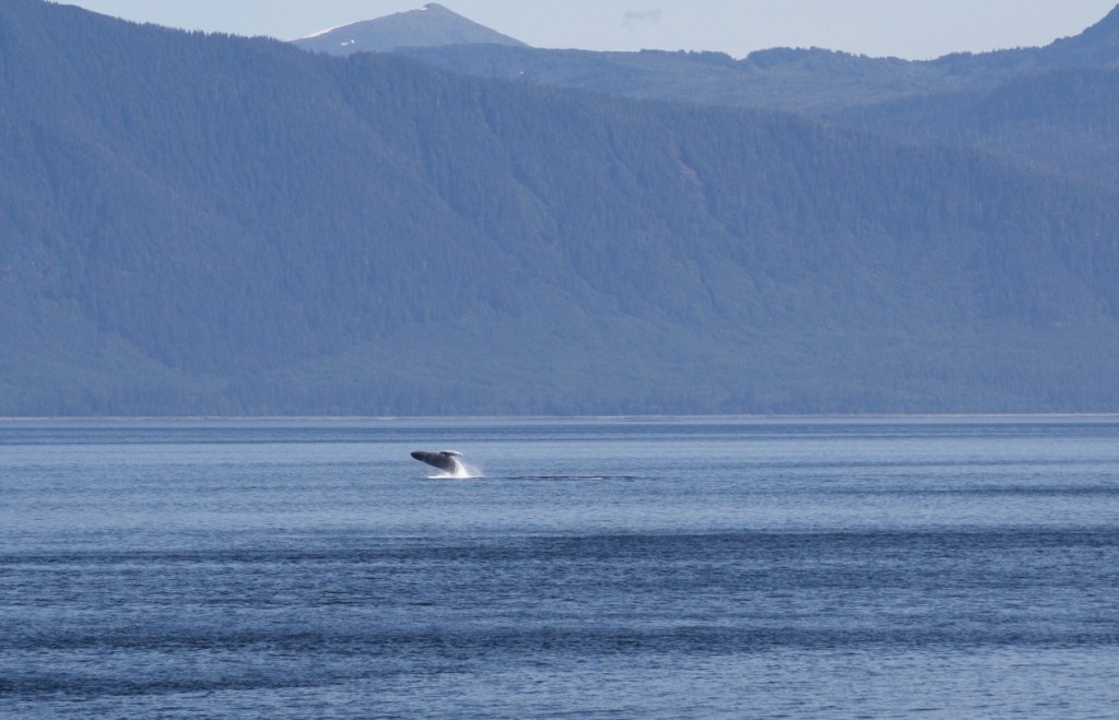 Five Finger 2013-08-11 044