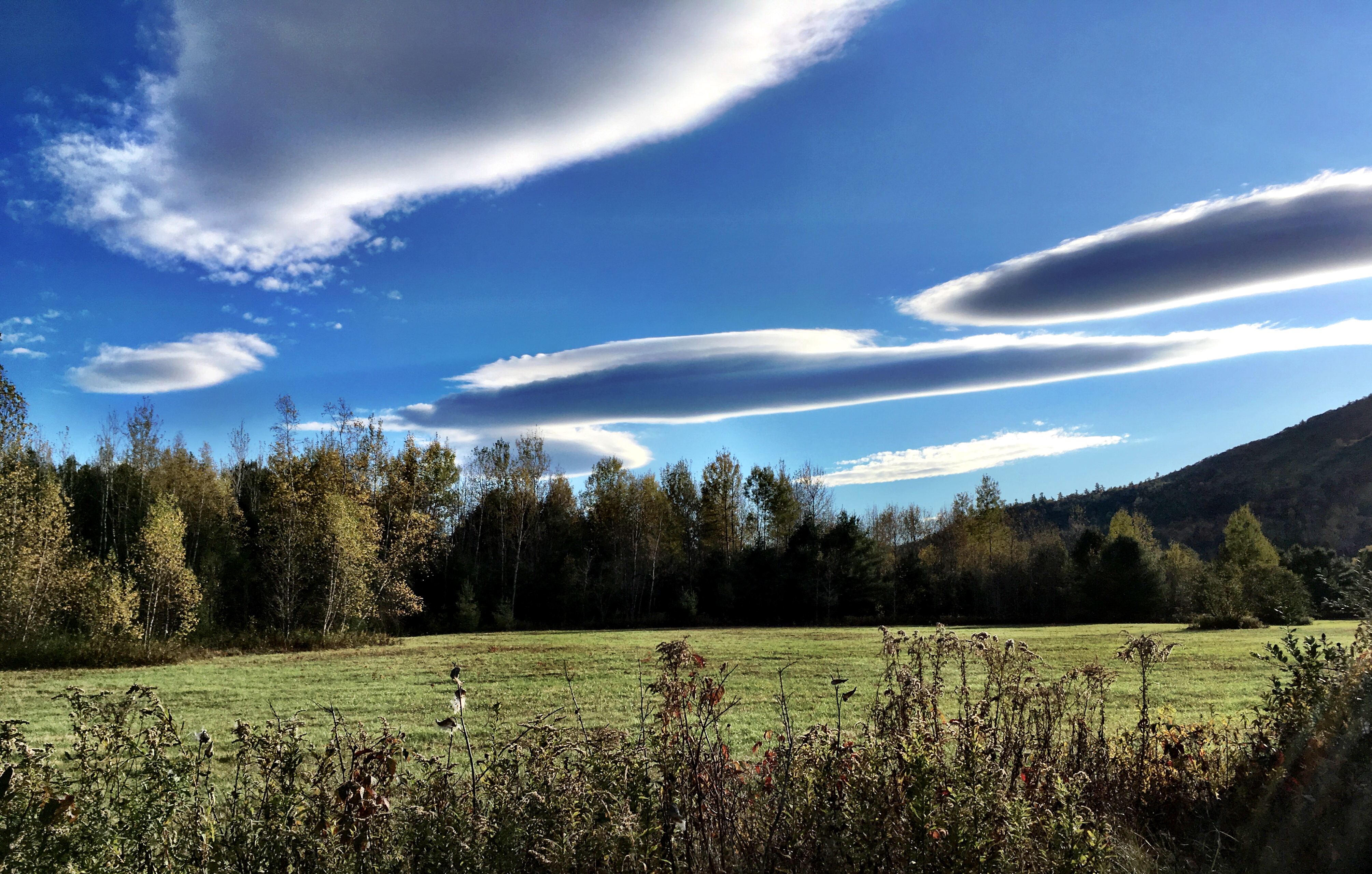 32F09EB0-2B2A-4DD2-8177-10C23E6DBF40