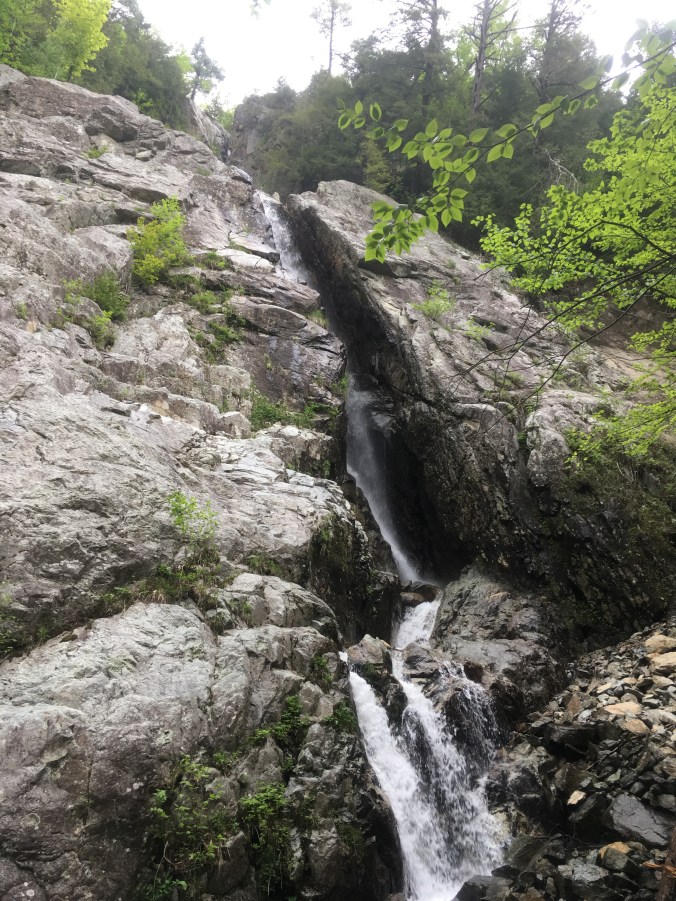 557F06EE-E55F-491D-8ECB-A46B5545A6A4