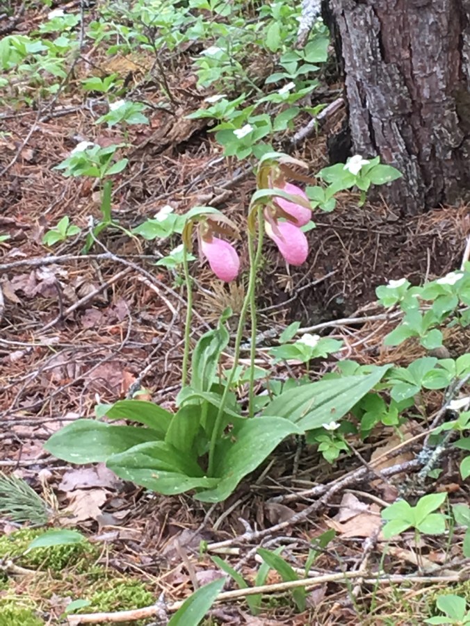 D963E1D1-E2A3-4D28-AA37-71E18F303967