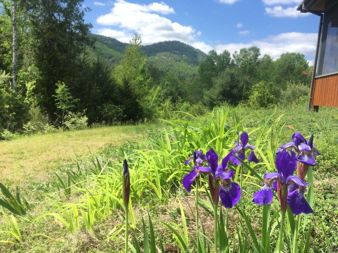 F9F14C3D-6896-40D1-A69C-03E551FC03A5