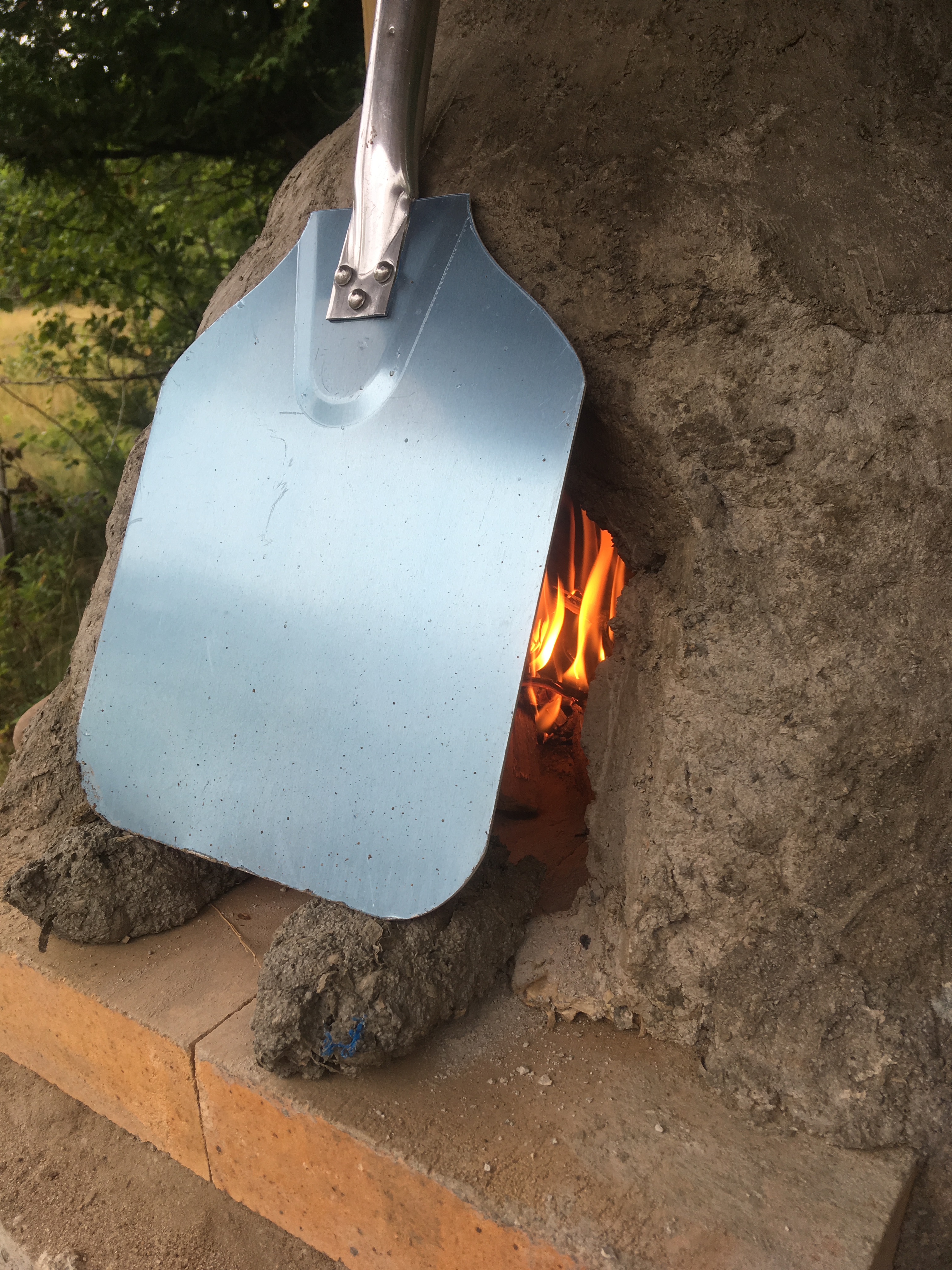 56B5A23A-F0A7-47DC-BCCE-86819AC46EF2