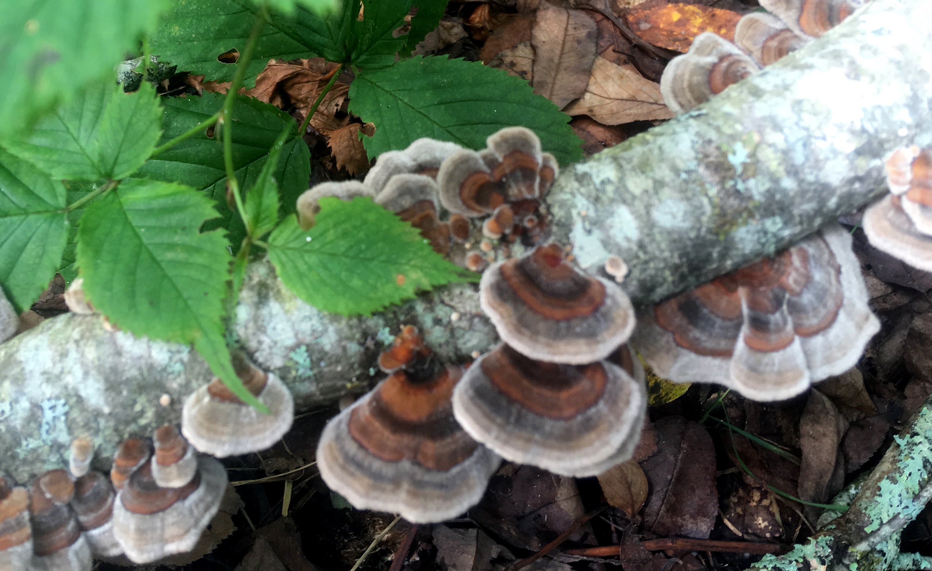 031A212B-F411-486D-B156-AE23ECB20549