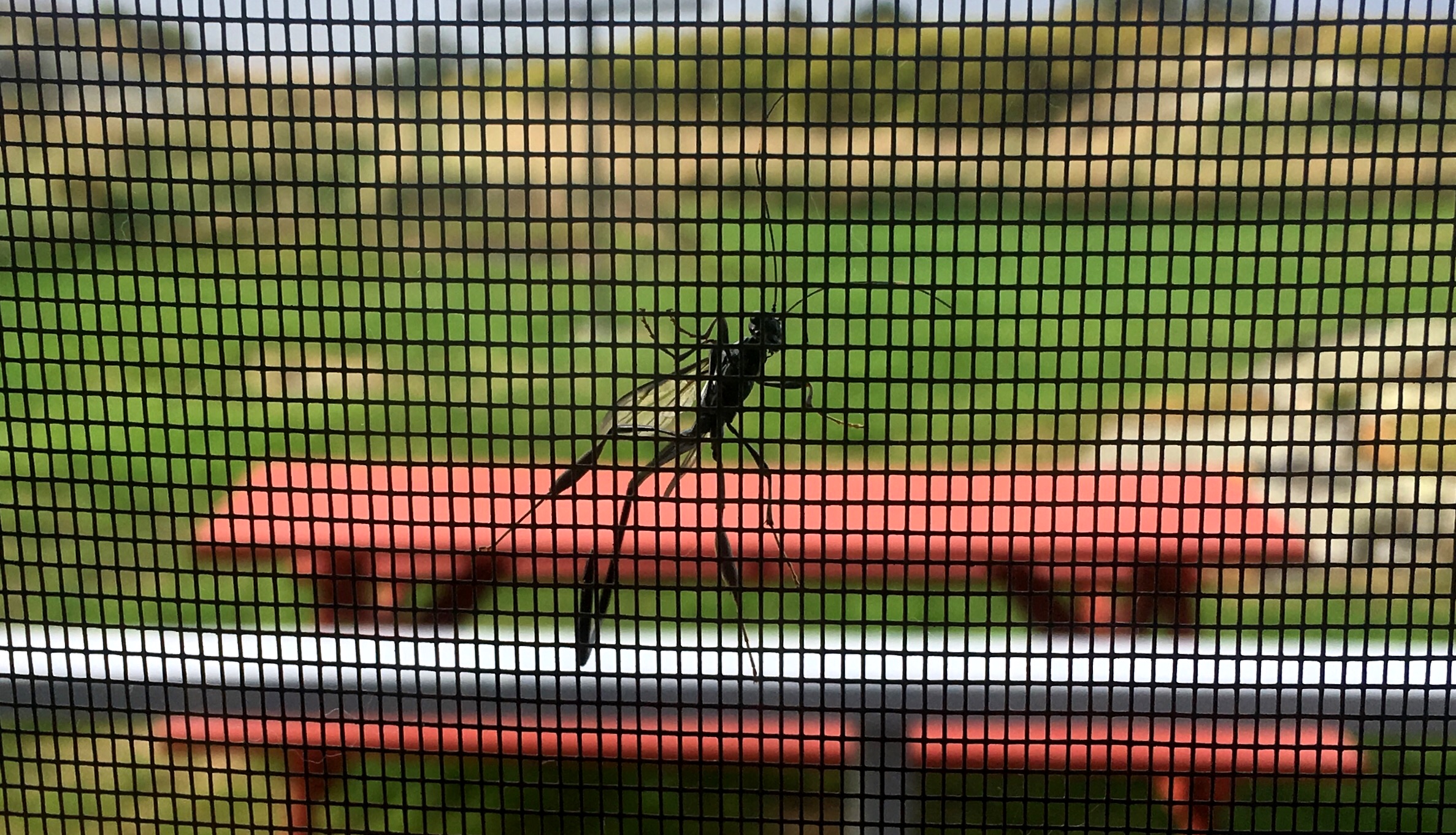 2D835A18-BD6F-44CD-AFAB-9FB9F8D8C430