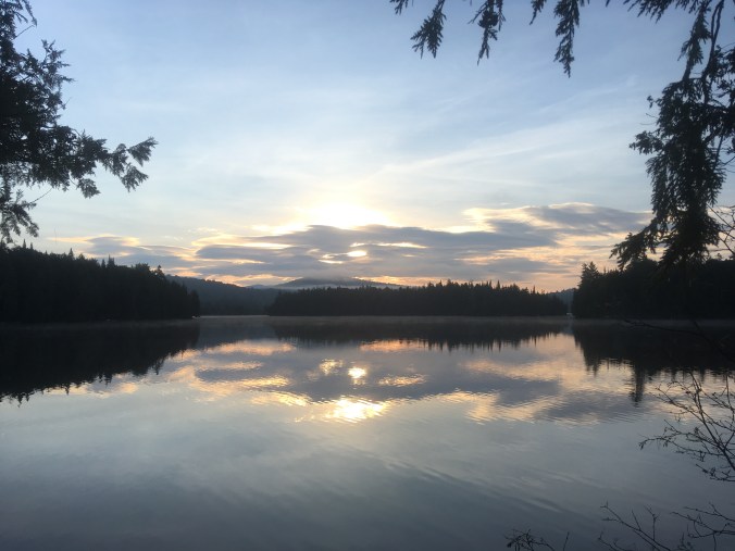 3309F6EA-0F6A-4A3D-964A-827DF8407DD5