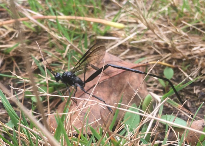 52FA4050-6BDD-4C8F-A77A-2C536754B4E4