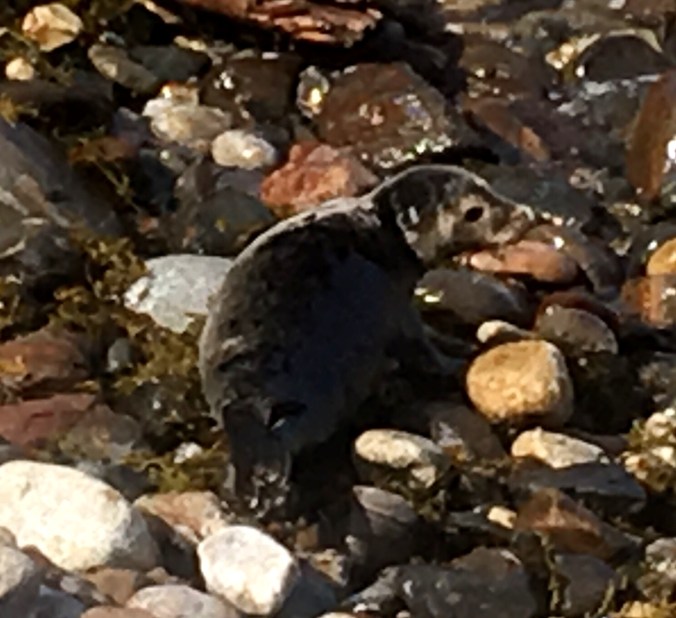 700383AD-F17E-461C-9FAA-FB2F4818E076