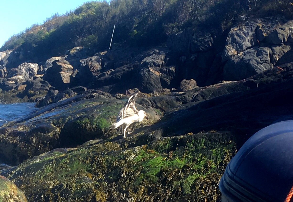 736947F5-3377-40E6-8522-4ECF321D7495