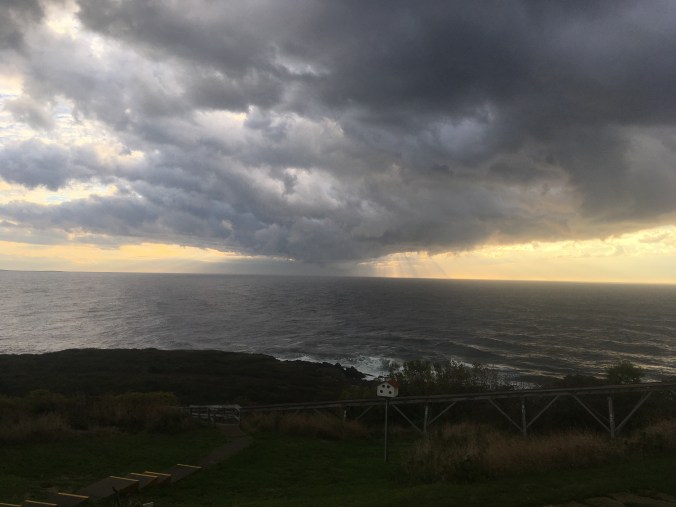 97E5D24C-DEC7-4C9E-8101-DA323E149427