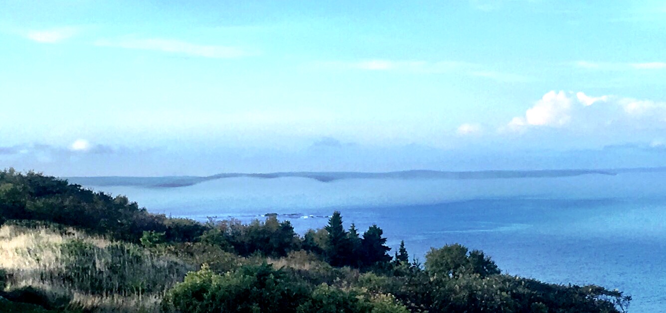 BAFB7316-B41D-4E81-B3F6-01A26ADC89D1