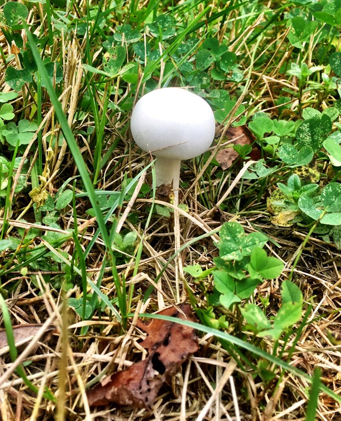 DC44EF41-DFE2-4C5E-AFFD-35B430DF7CC1