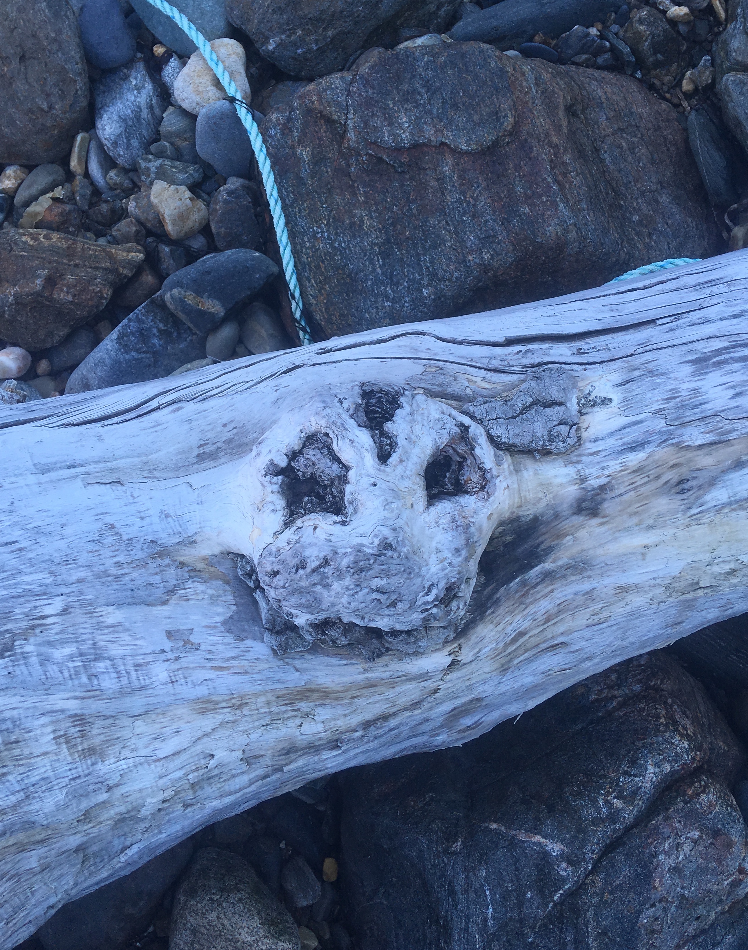 DF9495C4-6DED-4B3F-9513-2BE6C74102F1