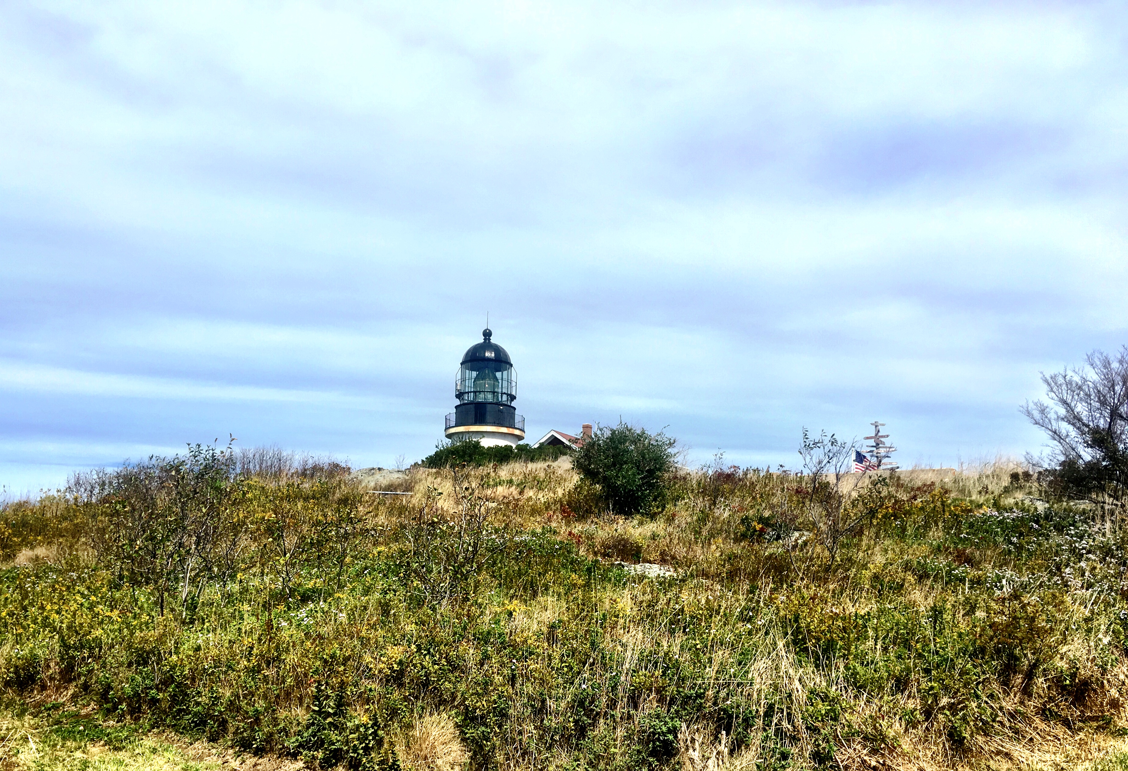 F0C54313-A0A1-45B3-B48D-FC8B2C2D65B2