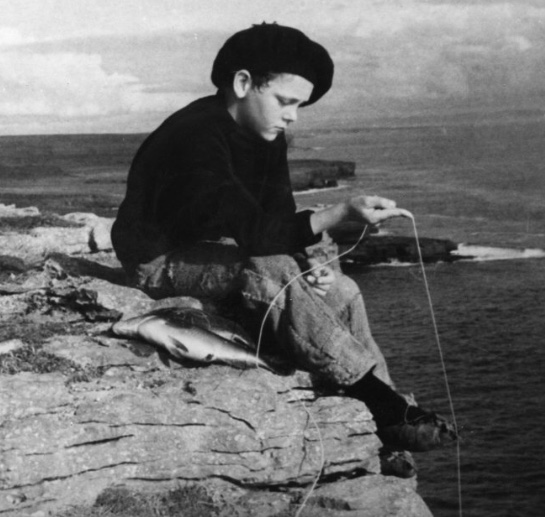 F8E27BFC-8F1A-4B6F-8287-82ED19FEDE1F