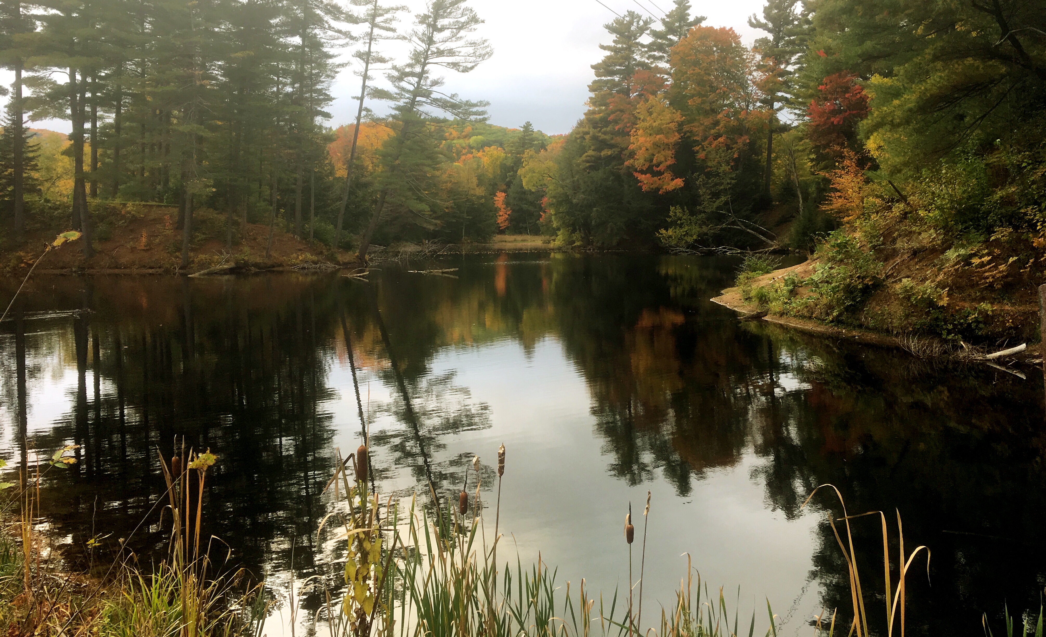 76762AED-370C-45D7-BF80-87B80F11FFC1