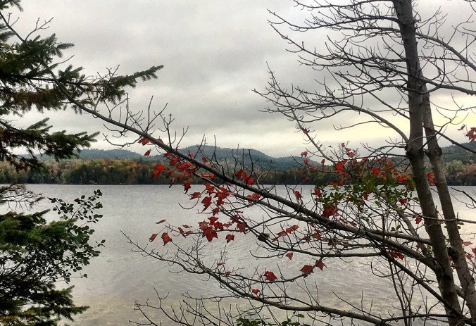 774DA1F1-E899-40E9-A56A-569EEBB2D96F