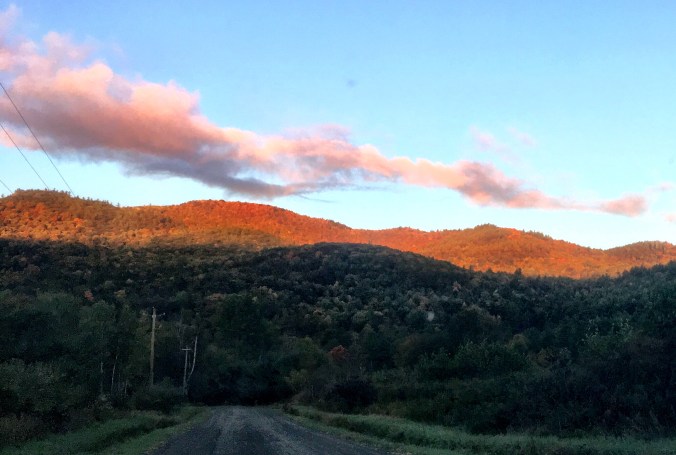 A0915D96-80A5-411A-81C2-D37F66C88801