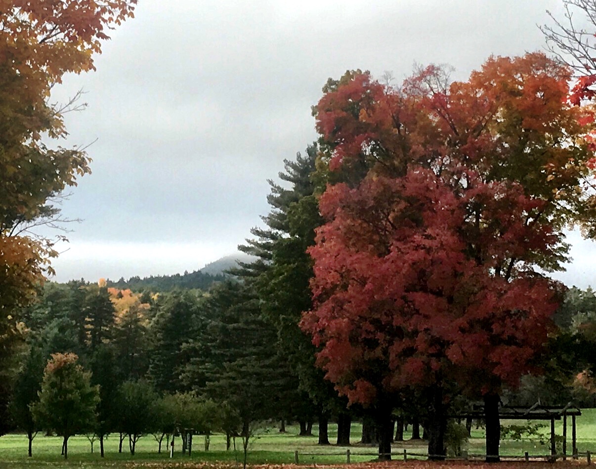 C5B7E973-9721-4770-BC6E-C0FABEA668D0