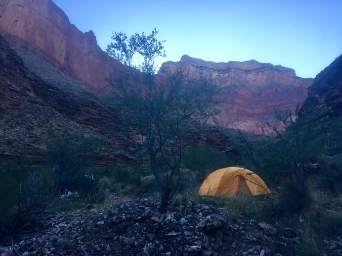 84CF3DB7-8313-4CE3-A3A4-6701F3037C5E