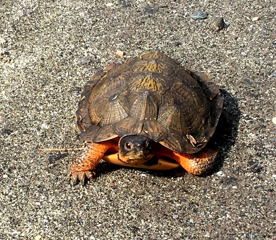 263EB0D2-CA72-41C9-BF34-D535CA02D647