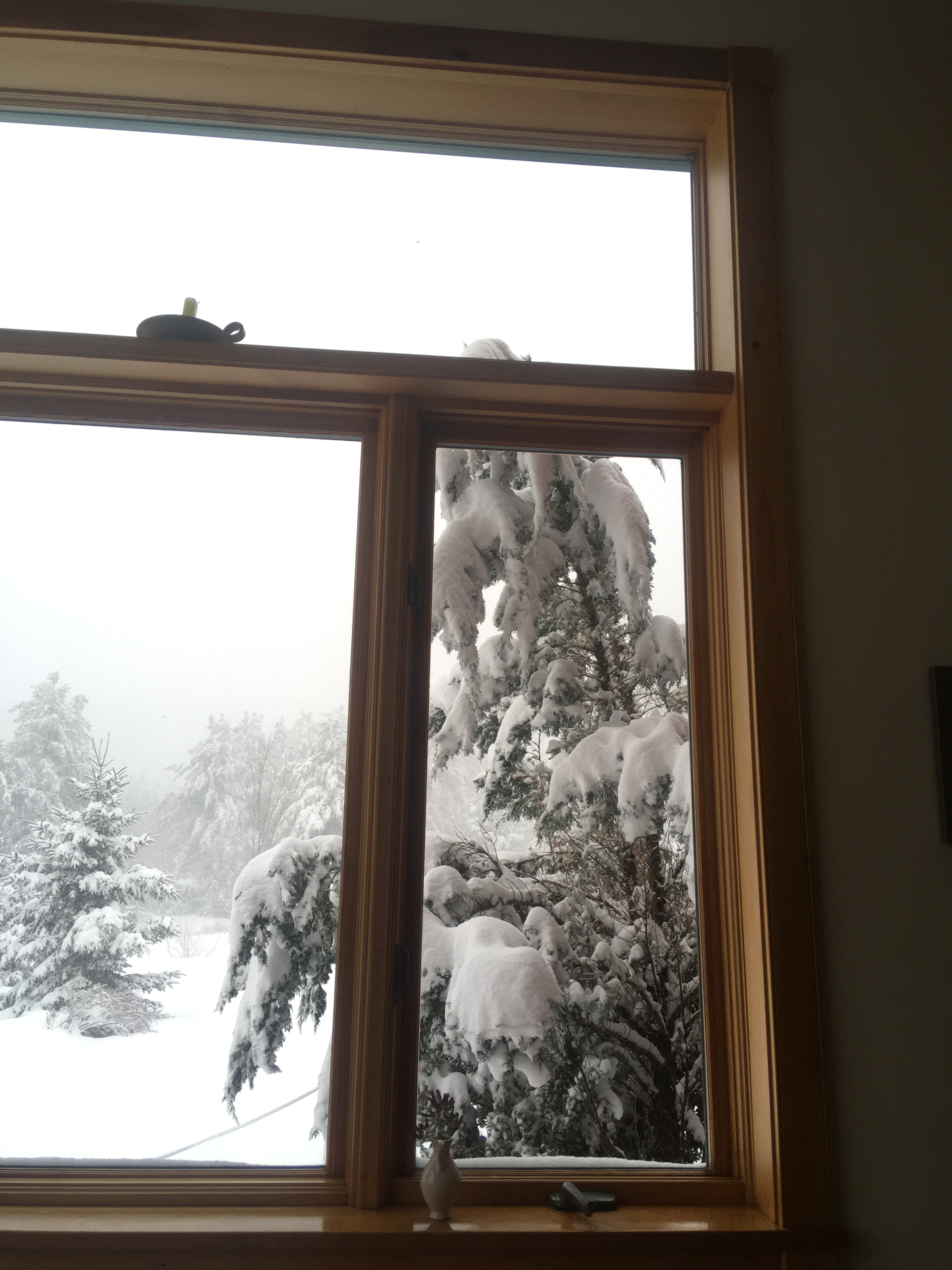 18D143F8-64F6-4E87-9FDA-0536E41CC343