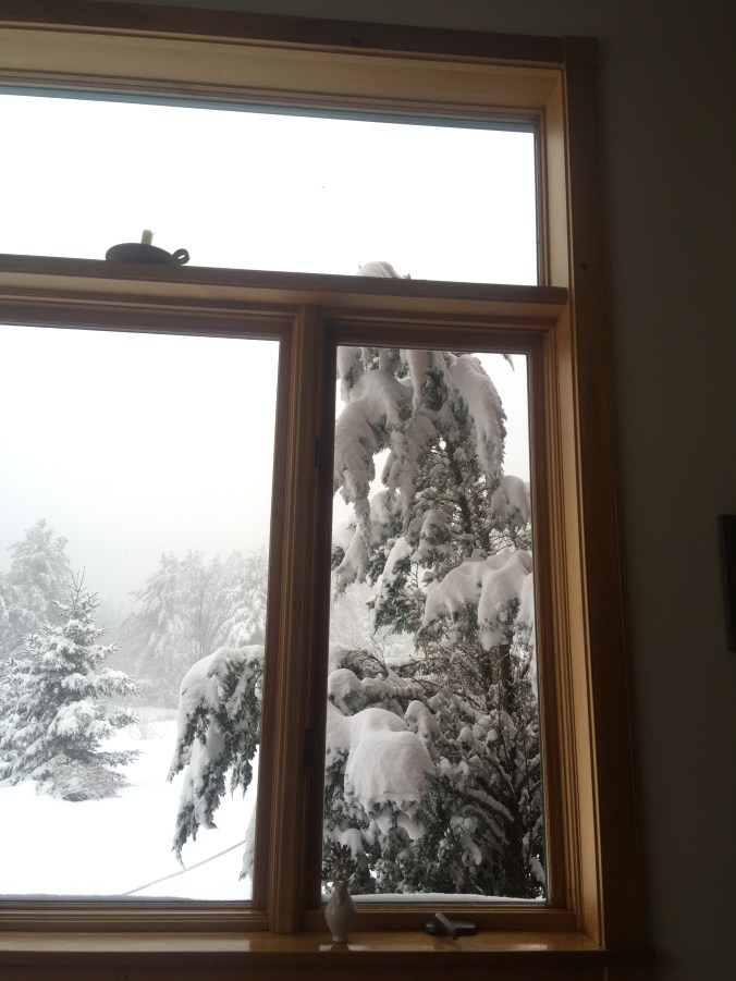 18D143F8-64F6-4E87-9FDA-0536E41CC343