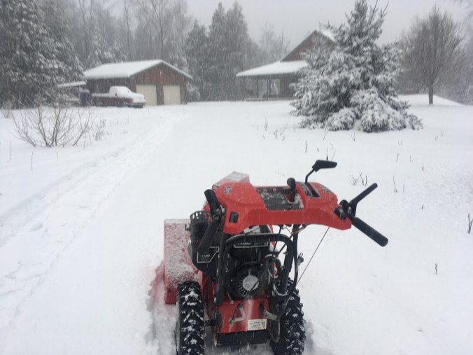 6E97AB03-F7BB-46DC-A0DF-96F4446703B4