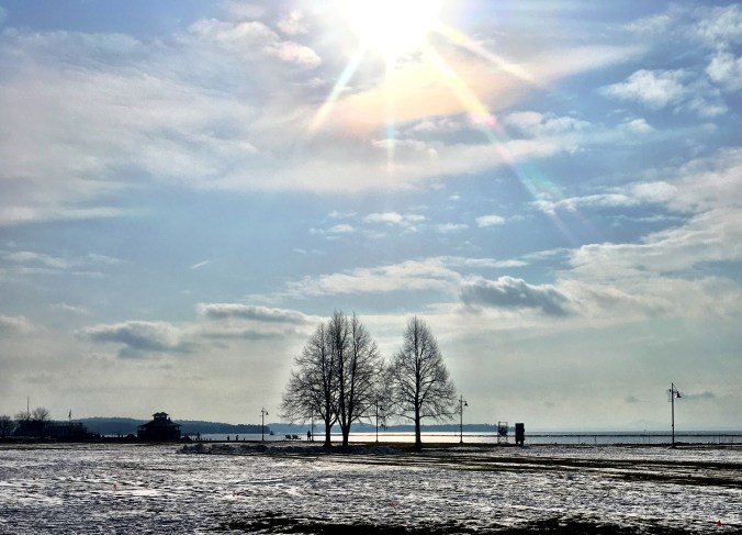 8FC7CC55-7F87-4E5A-80E2-5D4ACC6918E2