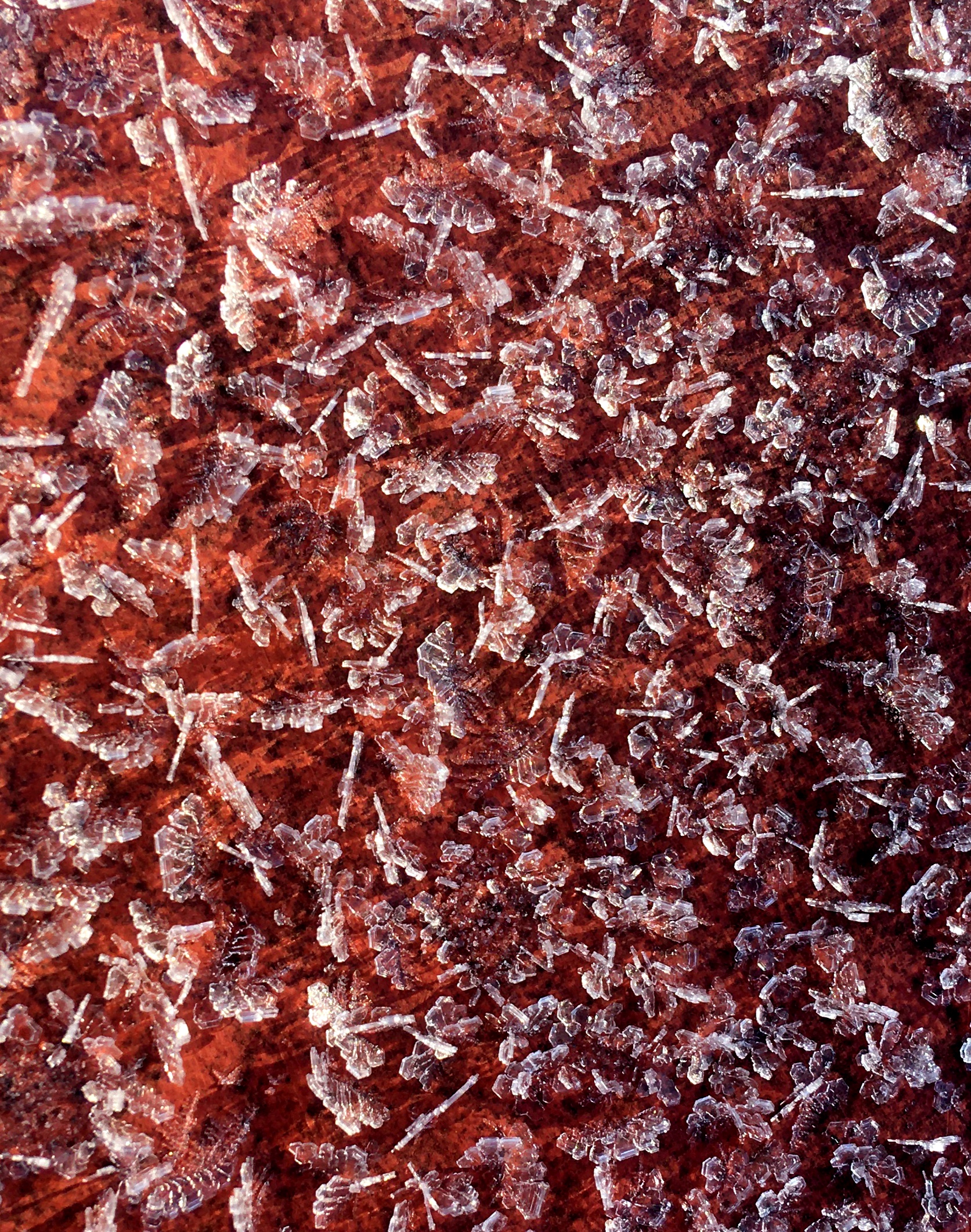 D56A6FD6-F0B5-4B8D-BDF2-6F2D0CDCC45B