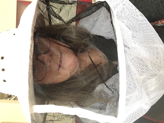 216A9527-E68E-4571-B75A-5918F0491866