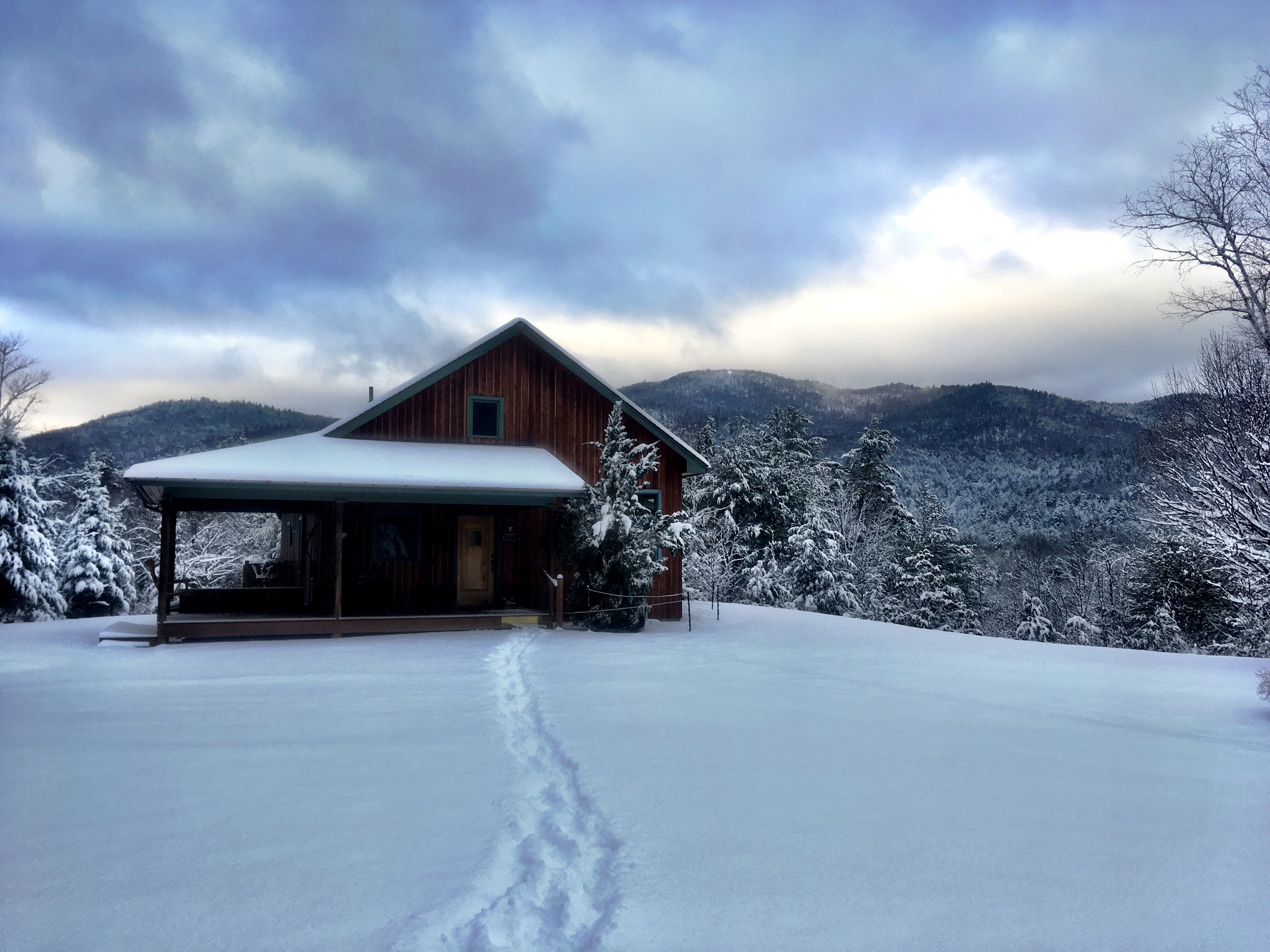 450A7A28-502C-491D-BC2F-E6F7F7CB9458