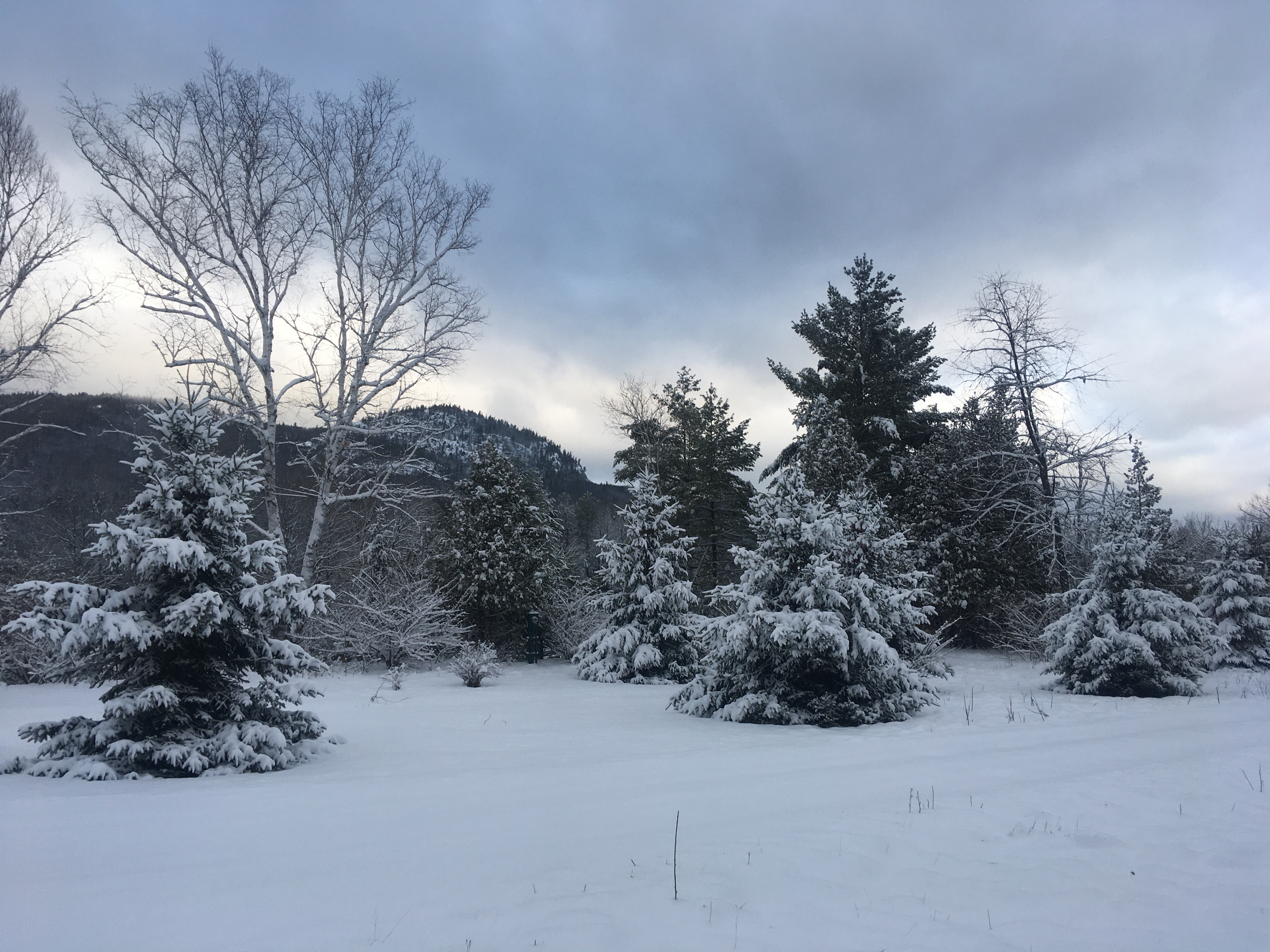 8C6C4B11-80FD-4E48-8EEA-DE150E6EB713