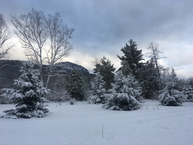 8C6C4B11-80FD-4E48-8EEA-DE150E6EB713