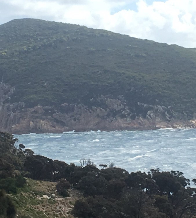 A2E9A284-4BC2-4E9D-9C6C-6209A7E79D87