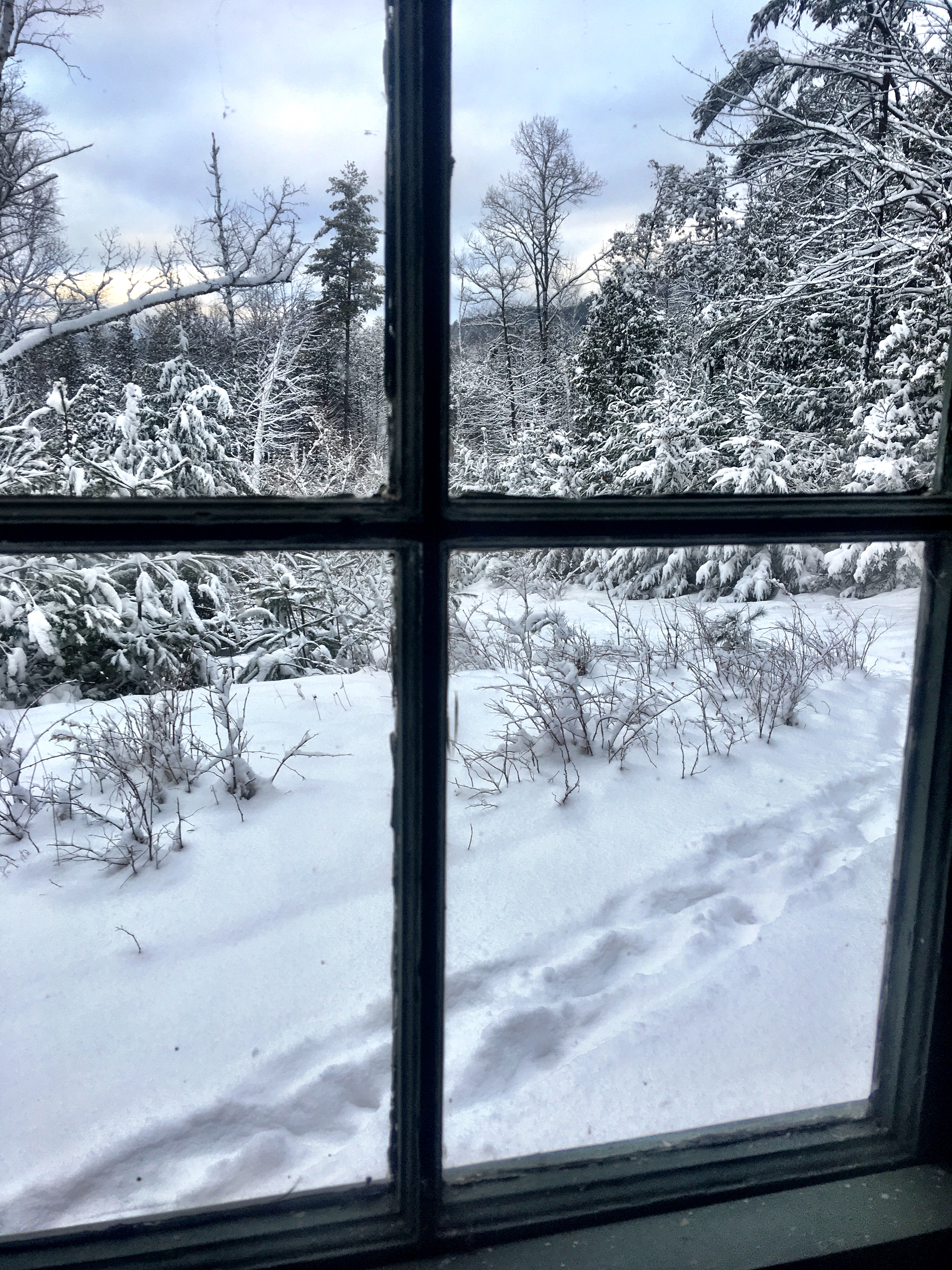 F46330CE-904B-4310-ABD0-B55BCC7DFA2A