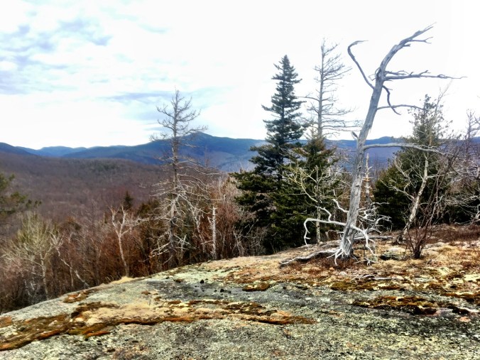 F5526D2E-5E2A-4F51-AC74-D3439B0A7832