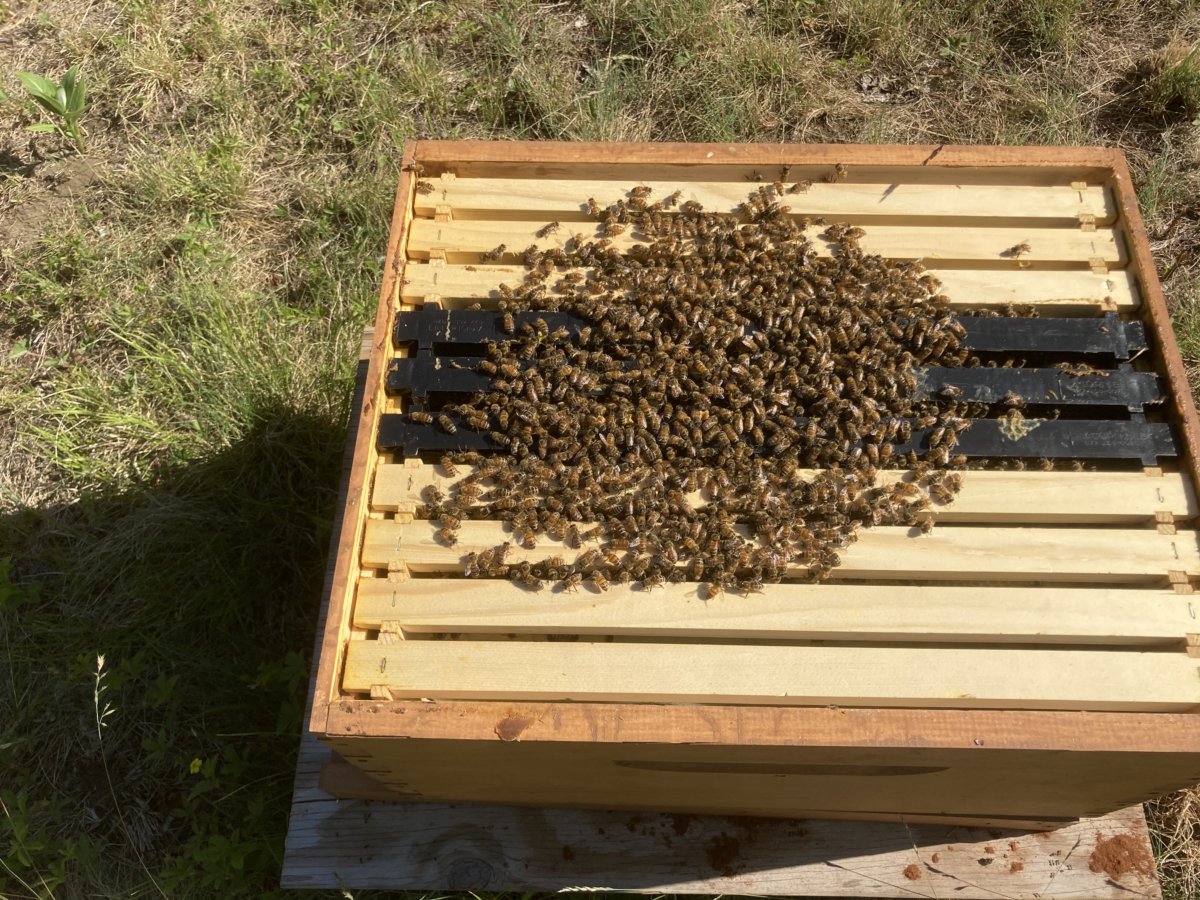 0BDF2460-98CD-4331-806B-33798ED95D6C